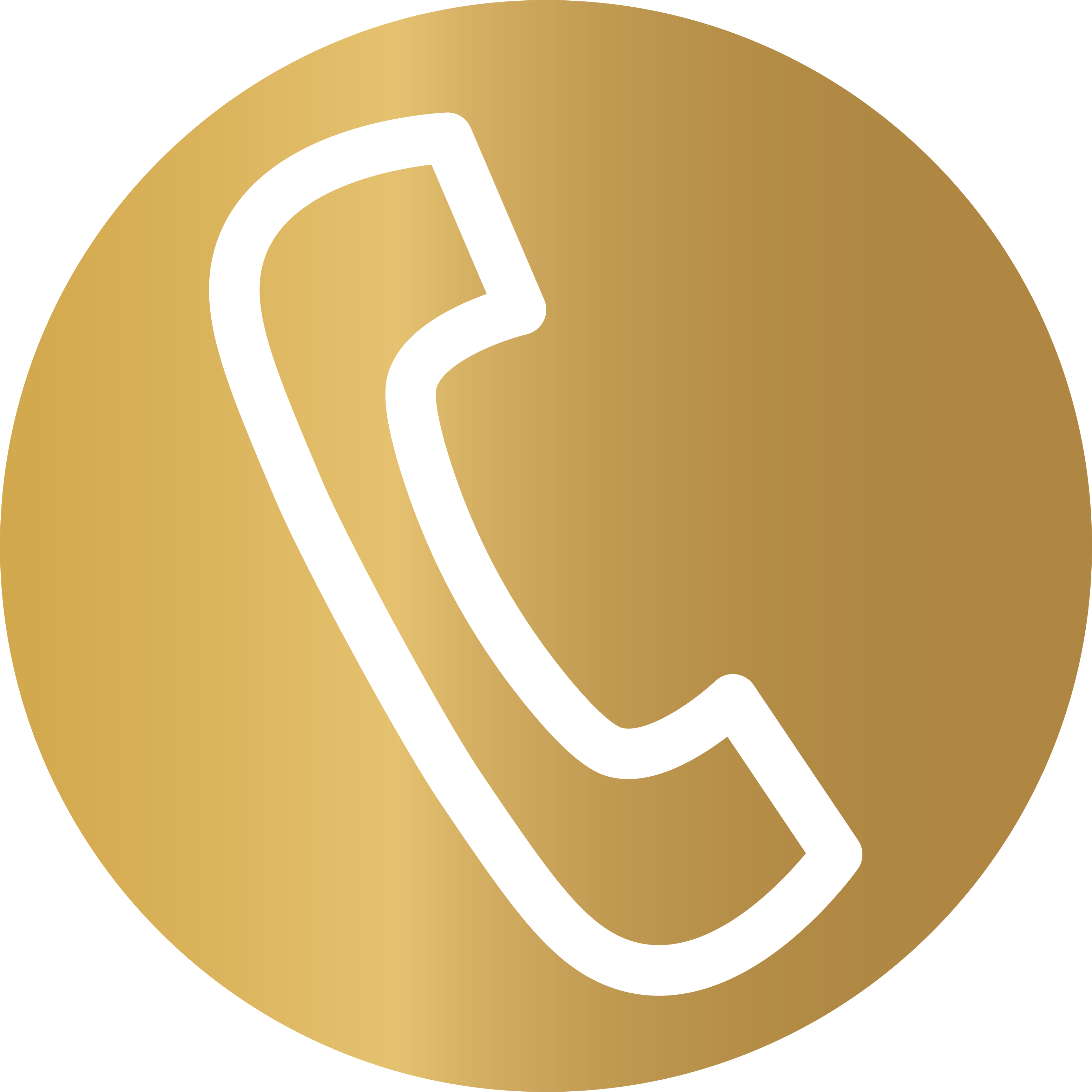 Phone Icon